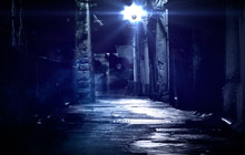 shadowfever